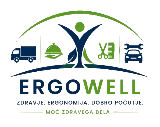 Projekt Ergowell